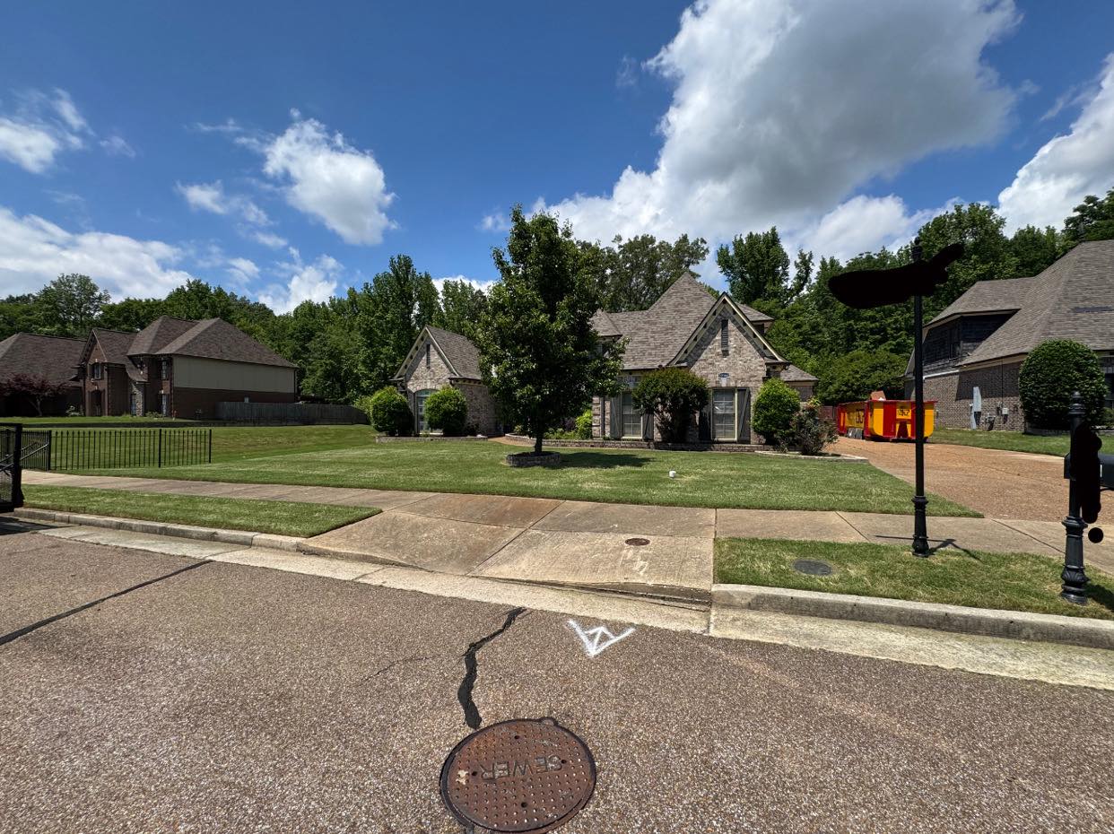New Landscaping