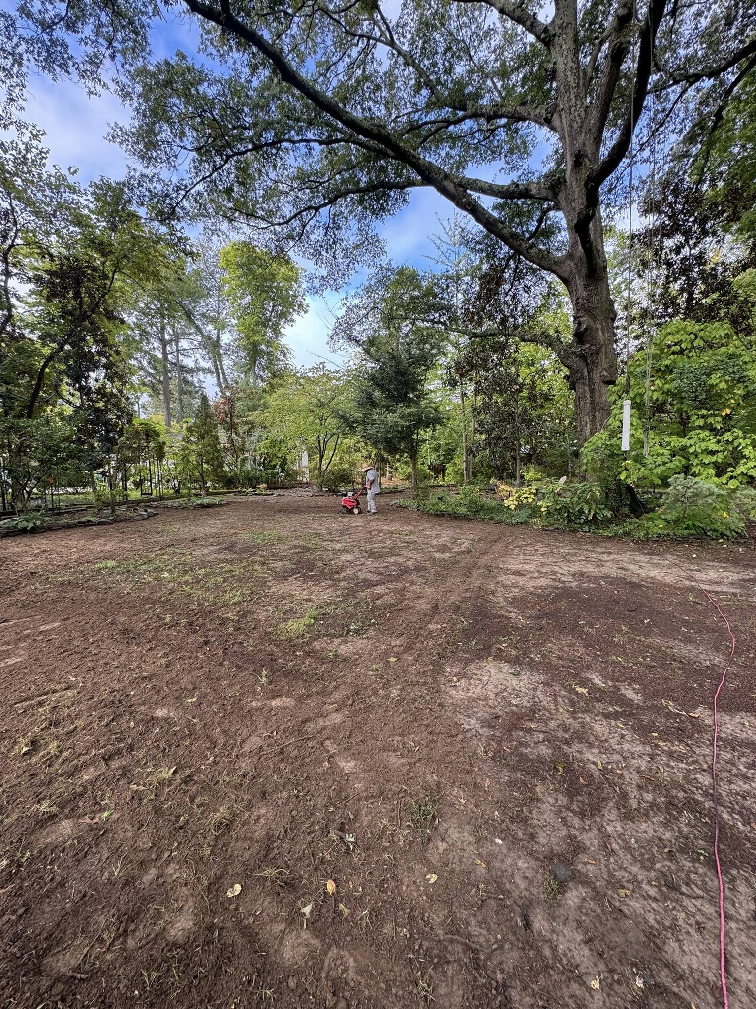Sod Installation