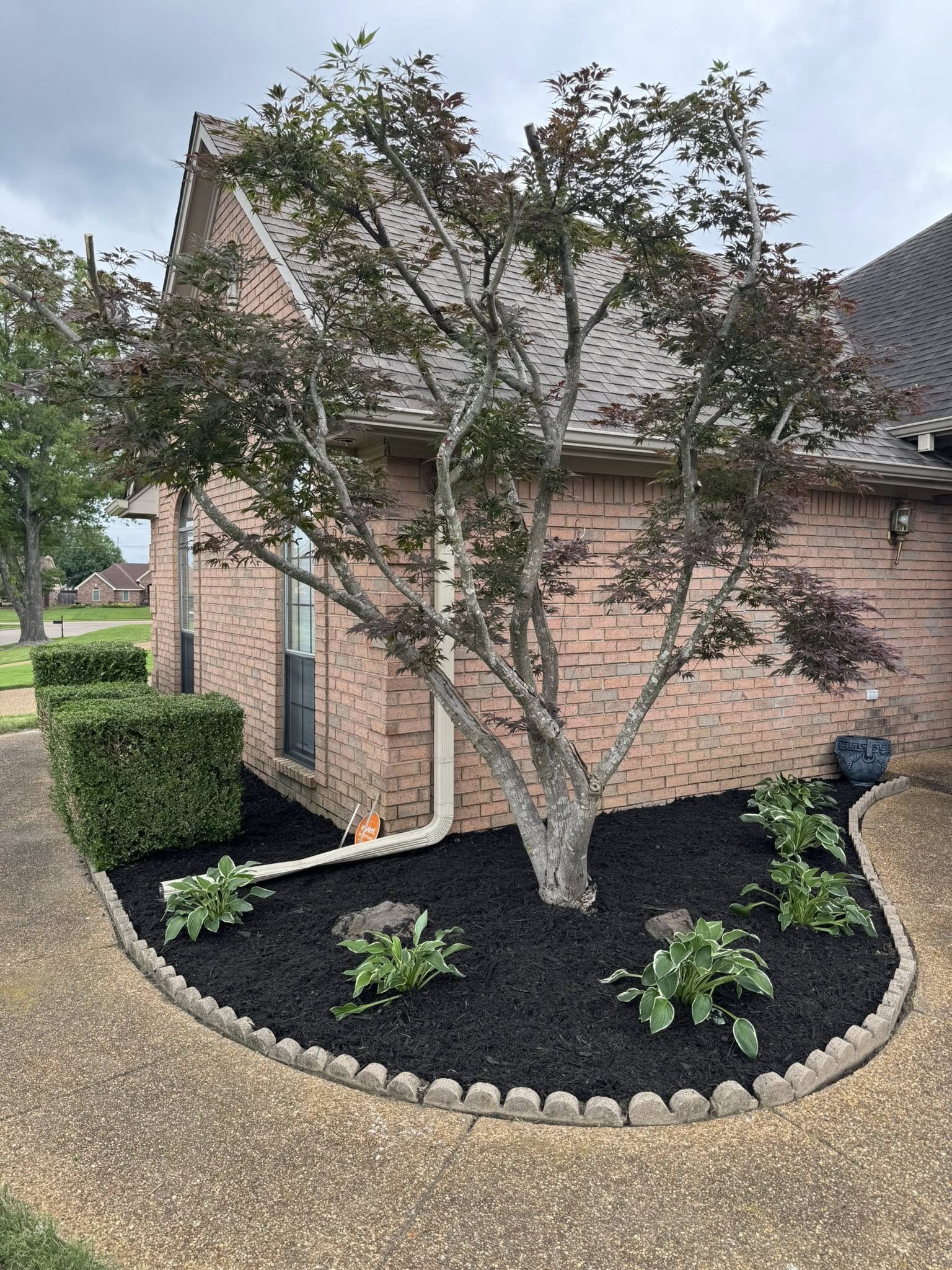 Mulching & Edging